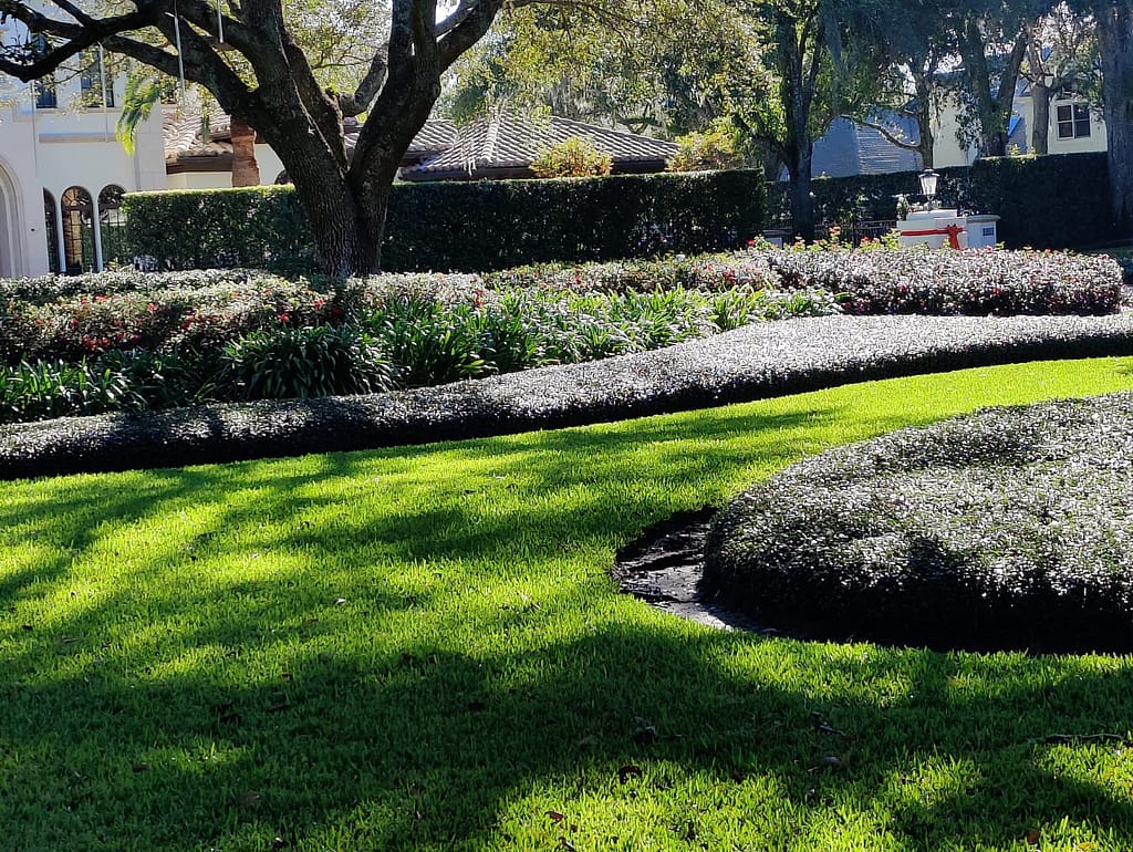 Landscape and Lawn Care Weed Control Winter Park